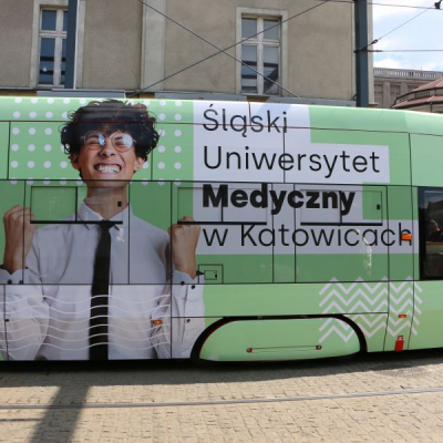 obraz dekoracyjny