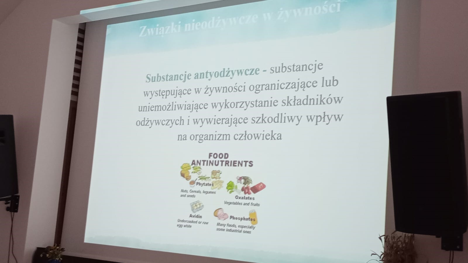 obraz dekoracyjny