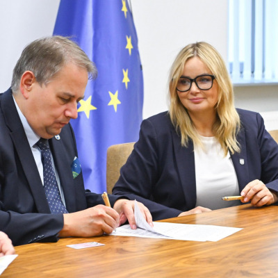obraz dekoracyjny