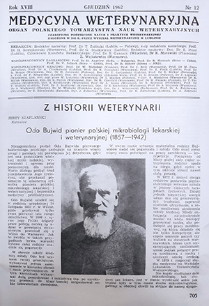 obraz dekoracyjny